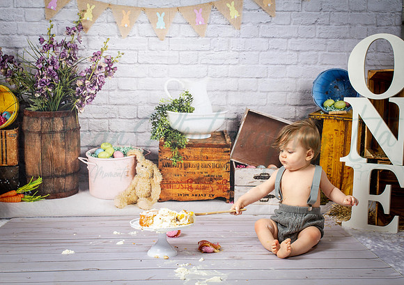 Alvey Cake Smash
