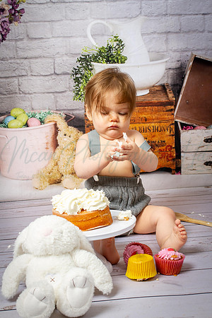 Alvey Cake Smash
