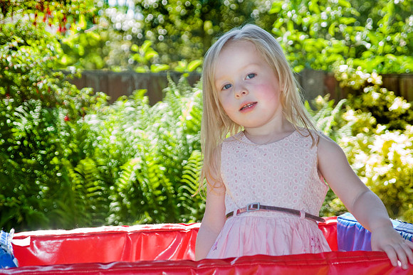 Family Party & portraits