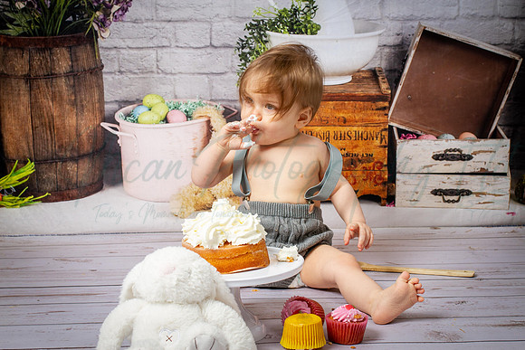 Alvey Cake Smash