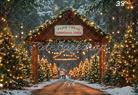 Xmas 038