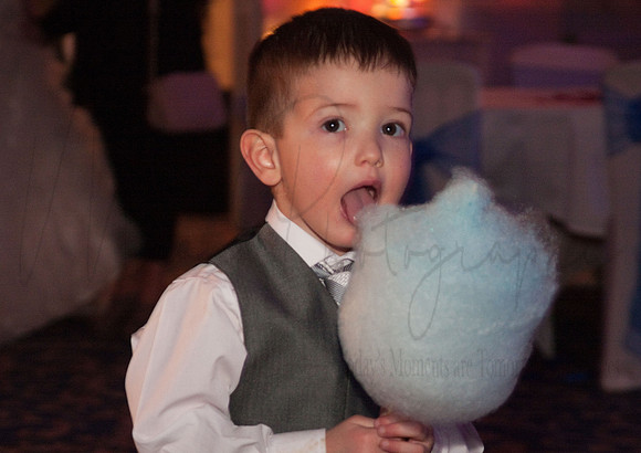 Andrew & Jemma Statham Lodge Wedding