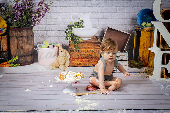 Alvey Cake Smash