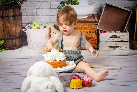 Alvey Cake Smash