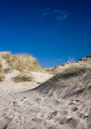 Formby Sand Dunes