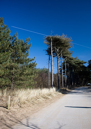 Formby Sand Dunes