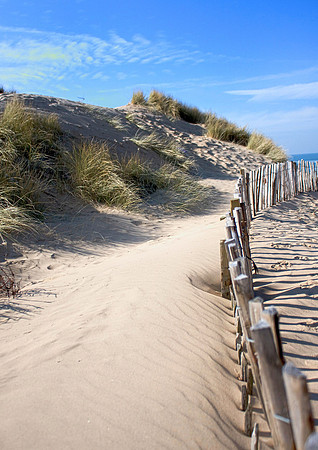 Formby Sand Dunes