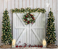 Xmas 008