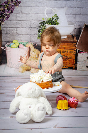 Alvey Cake Smash