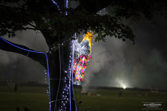 Lucy in the sky with Diamonds" St Peppers 50th anniversary at Camp hill