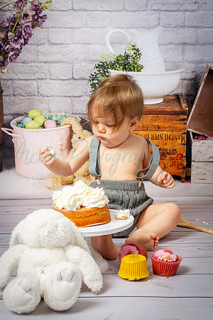 Alvey Cake Smash