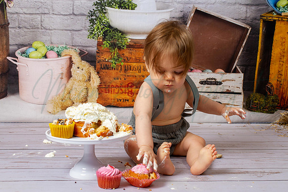 Alvey Cake Smash