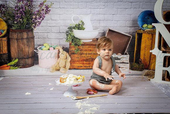 Alvey Cake Smash
