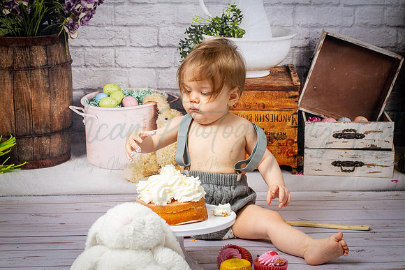 Alvey Cake Smash