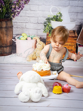 Alvey Cake Smash