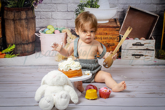 Alvey Cake Smash