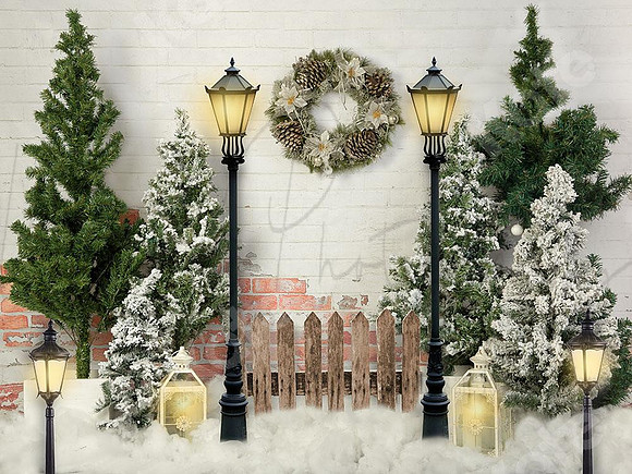 Xmas 017