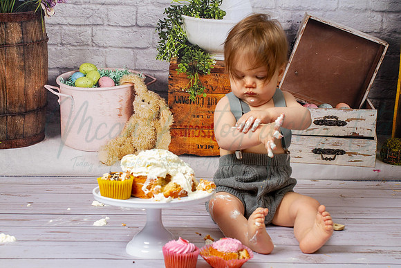 Alvey Cake Smash