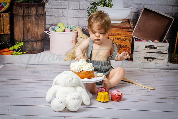 Alvey Cake Smash