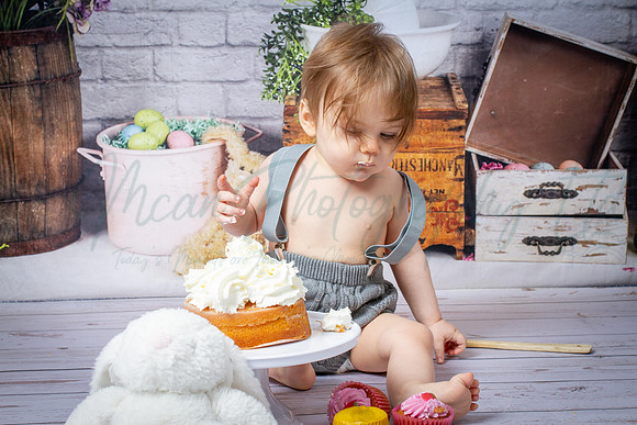 Alvey Cake Smash