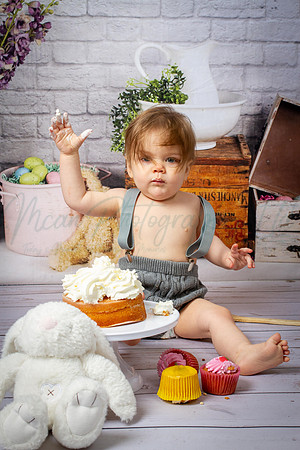 Alvey Cake Smash