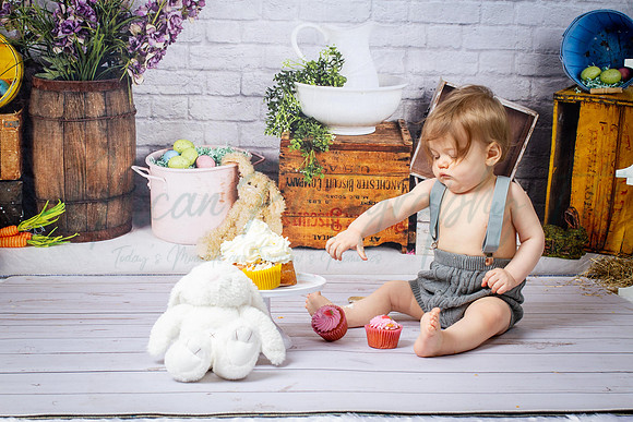 Alvey Cake Smash