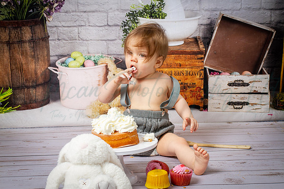 Alvey Cake Smash