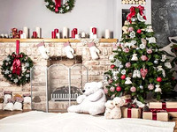 Xmas 020