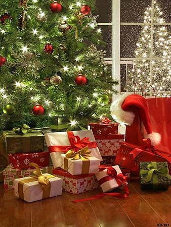 Xmas 022