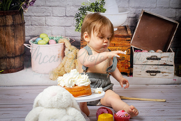 Alvey Cake Smash