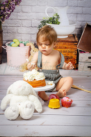 Alvey Cake Smash