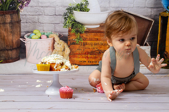 Alvey Cake Smash