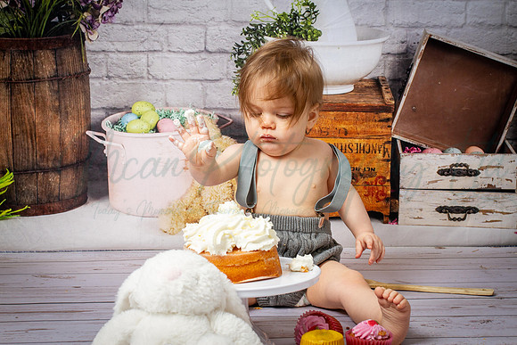 Alvey Cake Smash