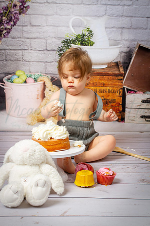 Alvey Cake Smash