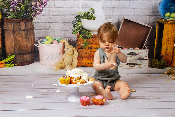 Alvey Cake Smash