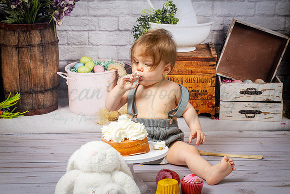 Alvey Cake Smash