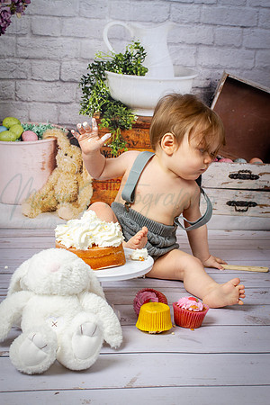 Alvey Cake Smash