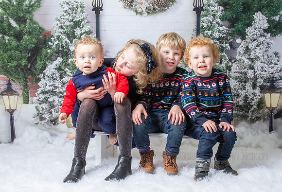 Xmas shoots