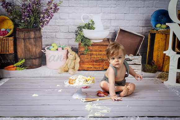 Alvey Cake Smash