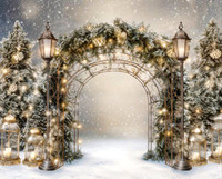 Xmas 015