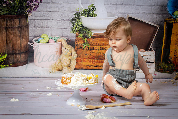 Alvey Cake Smash