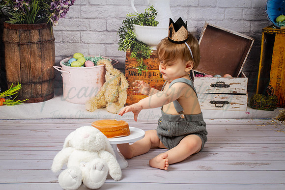 Alvey Cake Smash