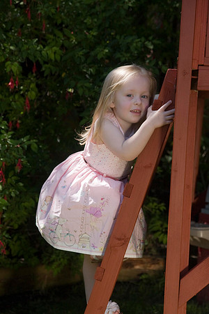 Family Party & portraits