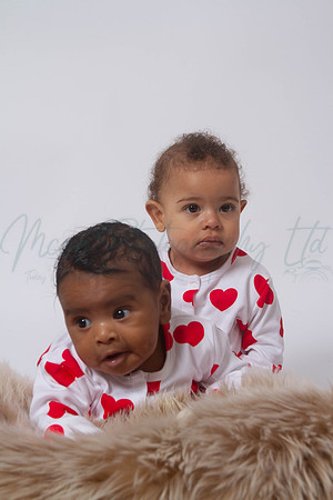 Hamed family 2025