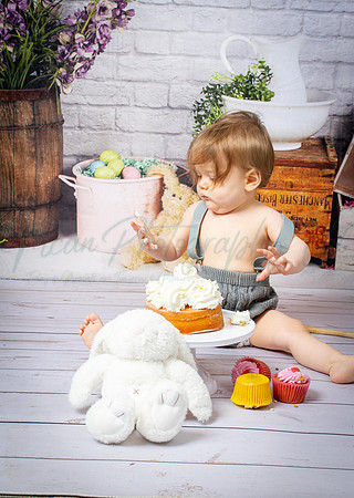 Alvey Cake Smash