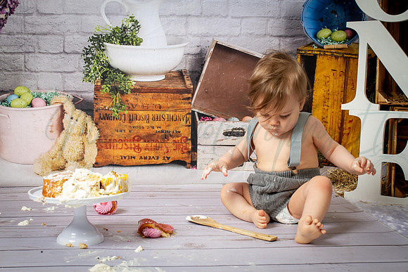 Alvey Cake Smash