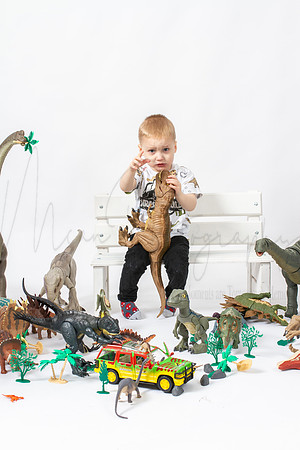 Family Themed shoots