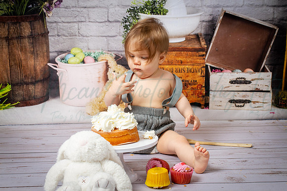 Alvey Cake Smash