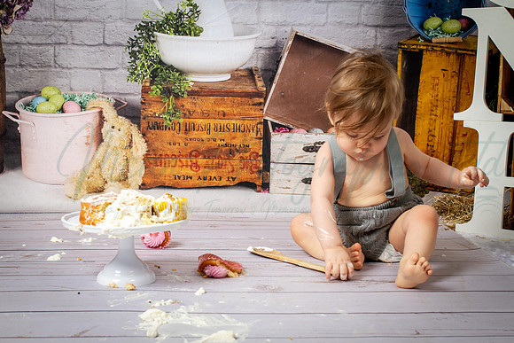 Alvey Cake Smash