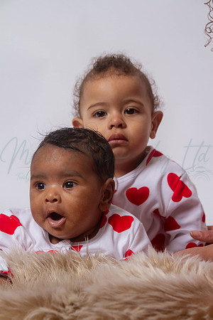 Hamed family 2025